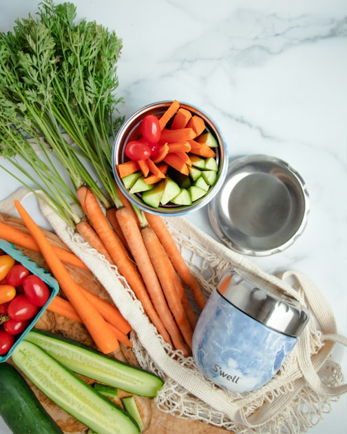 The Role of Logistics in Food Distribution